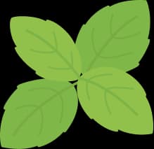 Menta 0
