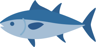 Tonno (thunnus albacares 11%