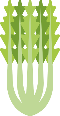 Sedano